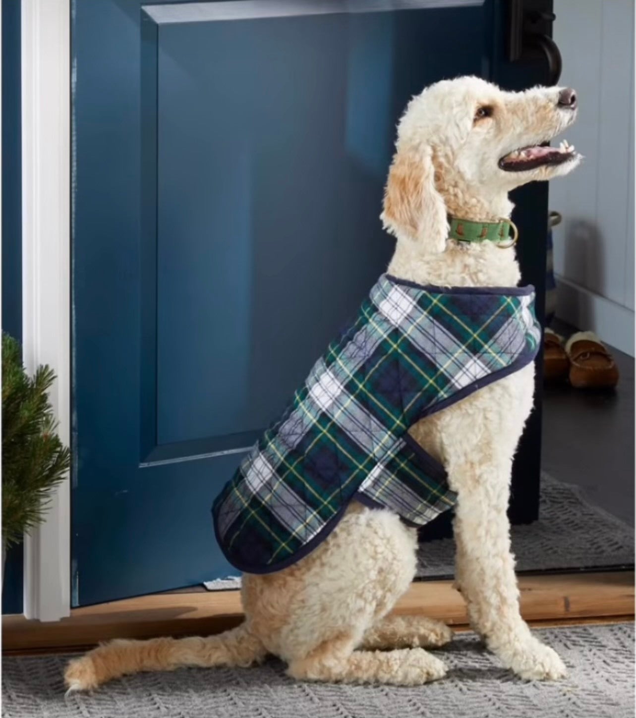 Ll bean dog coat hotsell